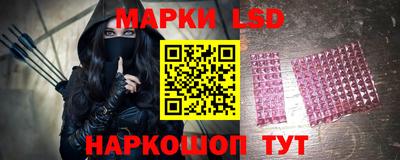 spice Кунгур