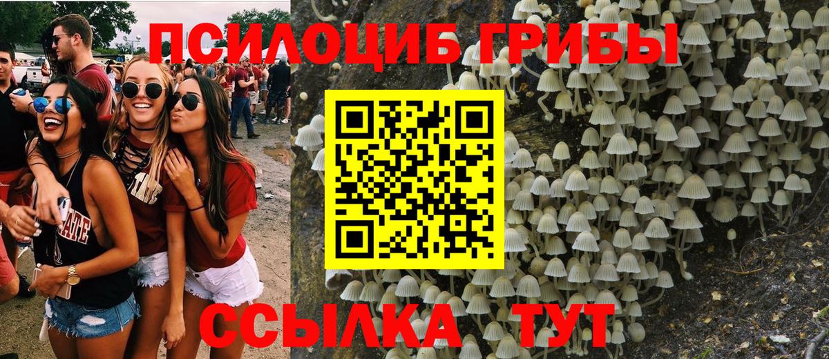 Галлюциногенные грибы MAGIC MUSHROOMS  Вход с VPN  Железноводск 
